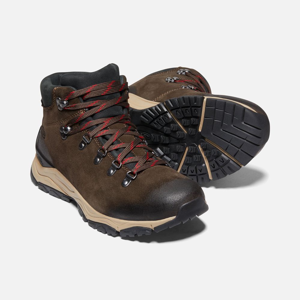 Keen Vandringskängor Herr Bruna - Feldberg Apx Waterproof - 019537YIE